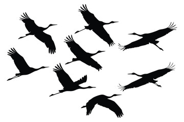 Silhouette of a Flock of Cranes Gracefully Soaring Through the Air an Elegant Display of Avian Freedom and Natural Harmony