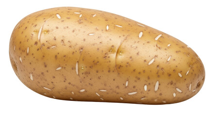 Isolated Potato