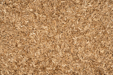 Wooden chips texture background close up. small wood chips for smoking top view. sawdust texture. ecological fuel