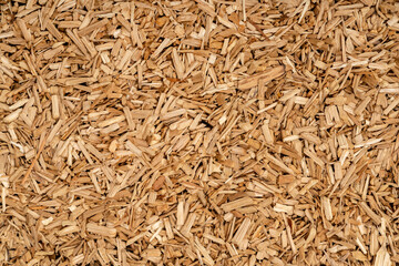 Wooden chips texture background close up. small wood chips for smoking top view. sawdust texture. ecological fuel