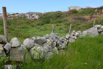 Lande Irlande 2