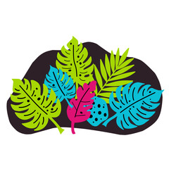 Tropical leaves colorful design vector illustration