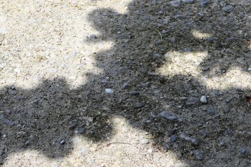 Abstract groundscape with dappled light and shadow patterns, showcasing a natural textured surface