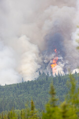 Flames and smoke rise from a wildfire.
