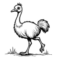 Fototapeta premium Emu walking in black and white coloring design – Cute and easy for kids