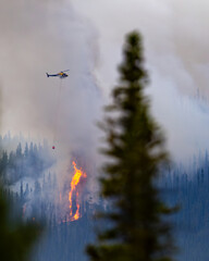 Helicopter drops water on a wildfire.