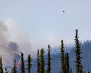 A smokejumper parachutes into a wildfire.