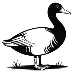 illustration of a duck