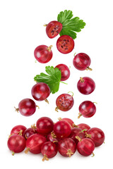 Red gooseberry isolated on white background with full depth of field.