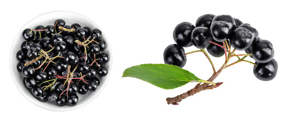 Chokeberry in ceramic bowl with leaf isolated on white background. Black aronia. Top view. Flat lay