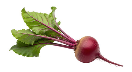 Isolated beetroot