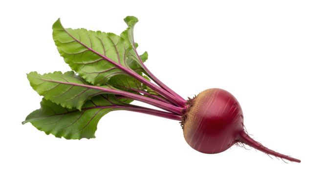 Isolated beetroot