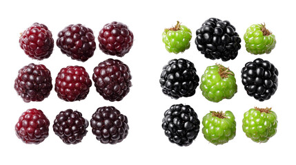 Blackberries
