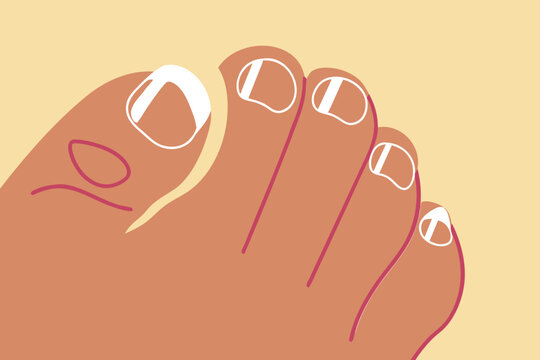 Close up of toes with squoval nails and white polish pedicure foot care