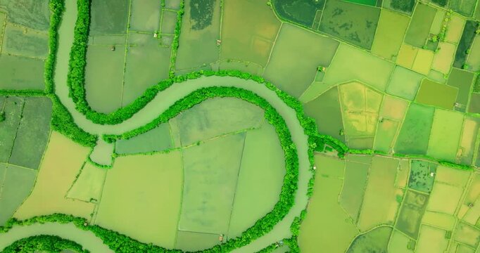 Drone View of Harvesting in Coastal Fishpond