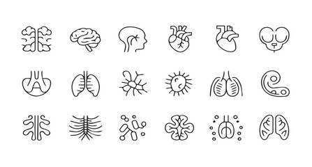 Human Organs Line Art Icons: Anatomy & Healthcare Symbol Collection