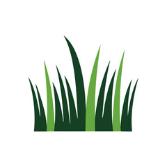 Fototapeta premium Illustration of stylized grass blades against a black background Simple nature graphic with varying shades of green vector
