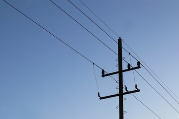 Silhouette of Utility Pole Against the Azure Sky, representing Infrastructure Connectivity and