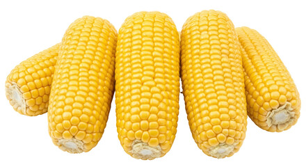 Isolated Corn Cobs