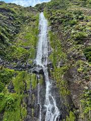View of the waterfall on a summer day. Close-up. Nature background. Madeira. Portugal.