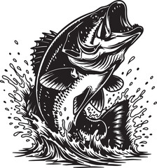 Dynamic Black and White Bass Fish Jumping Out of Water.