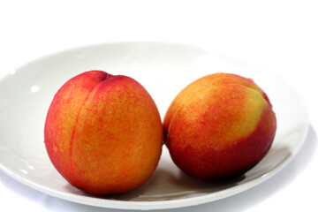 Two peaches on a white background bowl