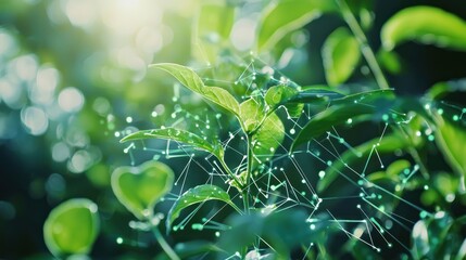Connected green leaves