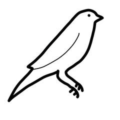 cannary bird animal nature hand drawn doodle cute fly
