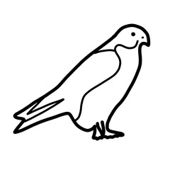 fallcon bird animal nature hand drawn doodle cute fly
