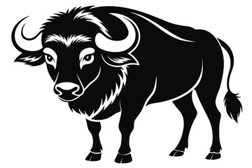 Striking Black Buffalo with Prominent Horns Stands Boldly, Characterized by its Powerful Physique