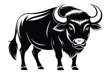 Powerful black yak with large horns stands firmly, showcasing its muscular build prominently