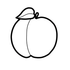 plum fruit food hand drawn doodle plant nature healthy grocery
