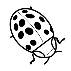 lady beetle insect beetle animal fly nature hand drawn doodle
