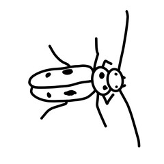 longhorne beetle insect animal fly nature hand drawn doodle
