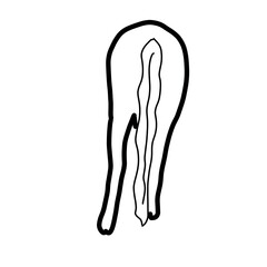 horse animal ride back tail nature hand drawn doodle
