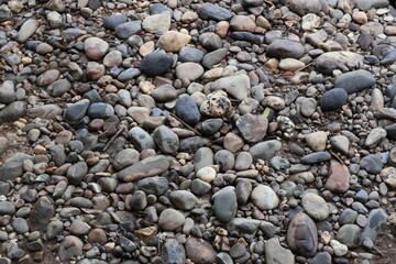 A Natural Composition of River Stones and Pebbles Showcasing Varied Textures and Shades