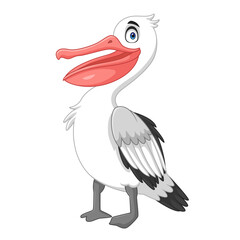 Cartoon pelican bird isolated on white background