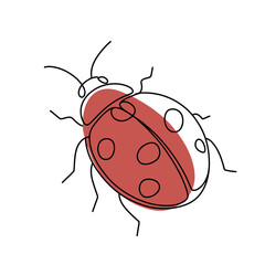 Fototapeta premium One - Line Ladybug Drawing: Continuous Single - Line Art of Insect for Nature and Animal Enthusiasts