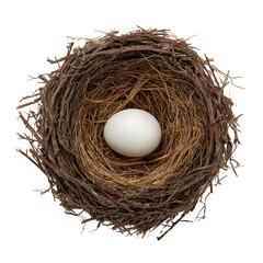 Obraz premium Single white egg nestled in a bird's nest.