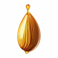 Single realistic almond seed with glossy brown texture and golden drop of almond oil dripping from the tip isolated on white background