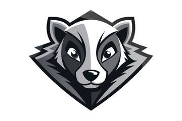 A cute raccoon's face is framed inside of a cool geometric diamond shape