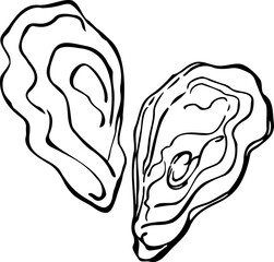 Oysters. Abstract, contour drawing by hand, black on a white background.