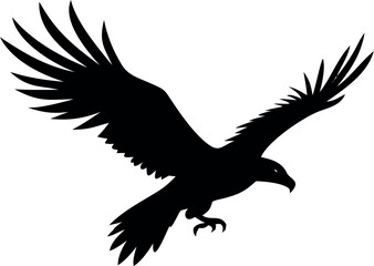 Fototapeta premium Illustrate an eagle diving sharply downward with wings tucked in.
