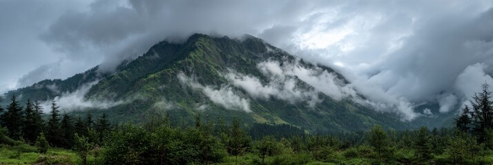 Mountain Peak Surrounded by Clouds and Trees