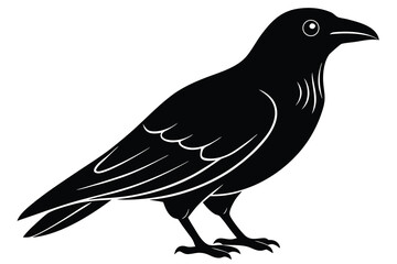 Fototapeta premium raven vector icon