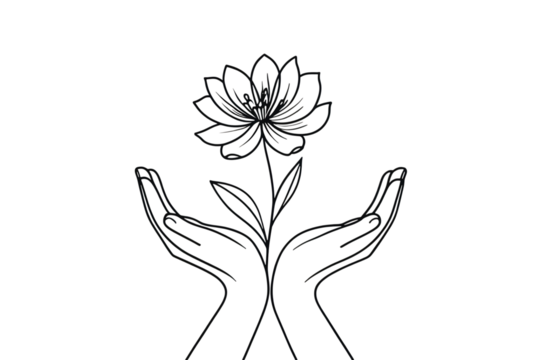 Hands holding a flower in black and white outline