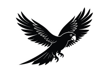 Fototapeta premium Silhouette of a Parakeet in Flight