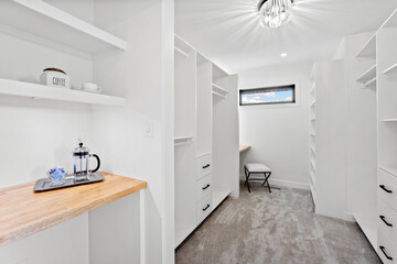 Small, clean, and well-lit walk-in closet with a wooden counter