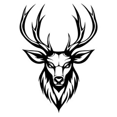 Deer skull with horns