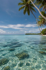 Fototapeta premium Tropical Island Beach with Clear Shallow Water